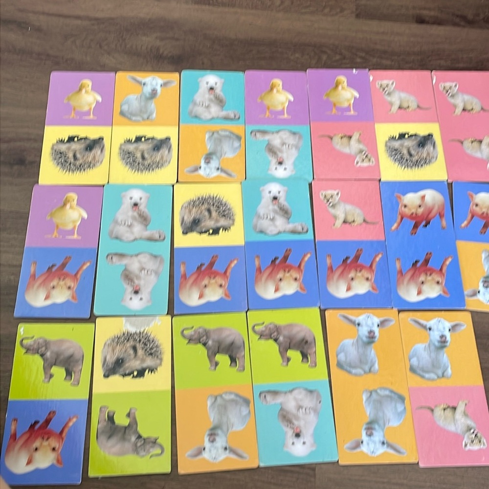 Animal Planet Card Board Doble- Sided Educational Toddler